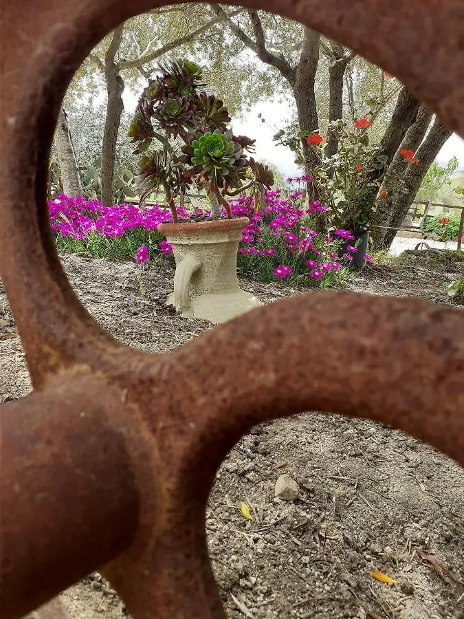 Agriturismo Pira Pinta 도르갈리 B&B