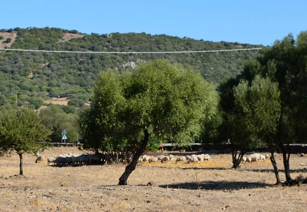 Agriturismo Pira Pinta 도르갈리 이탈리아