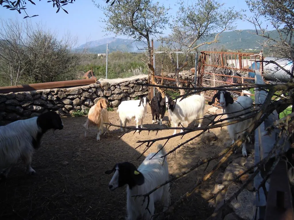Agriturismo Pira Pinta Dorgali 0*,