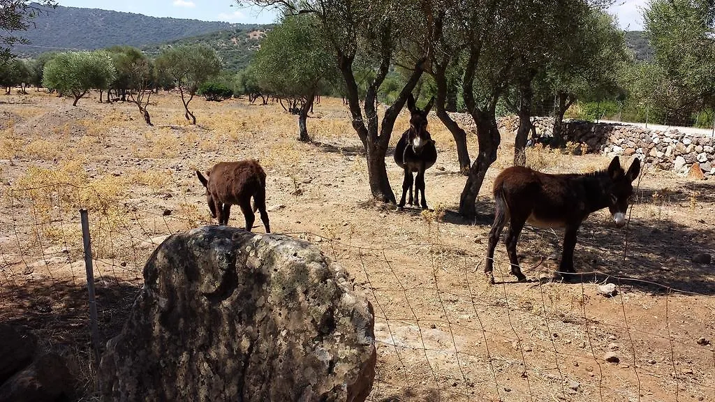 Agriturismo Pira Pinta Dorgali
