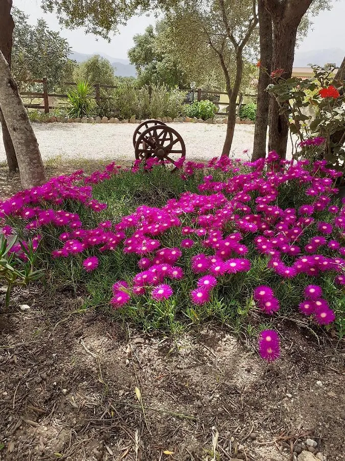 Frühstückspension Agriturismo Pira Pinta Dorgali Italien