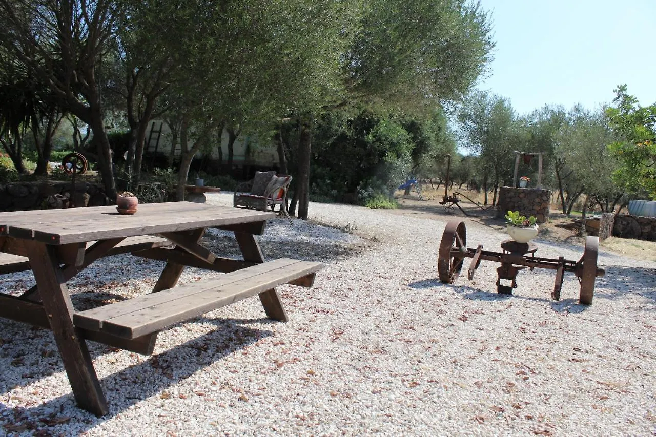 Agriturismo Pira Pinta Dorgali Frühstückspension