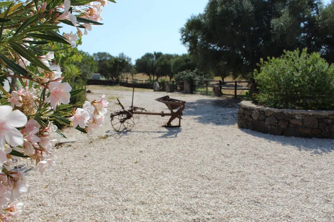 Agriturismo Pira Pinta Dorgali Bed & Breakfast