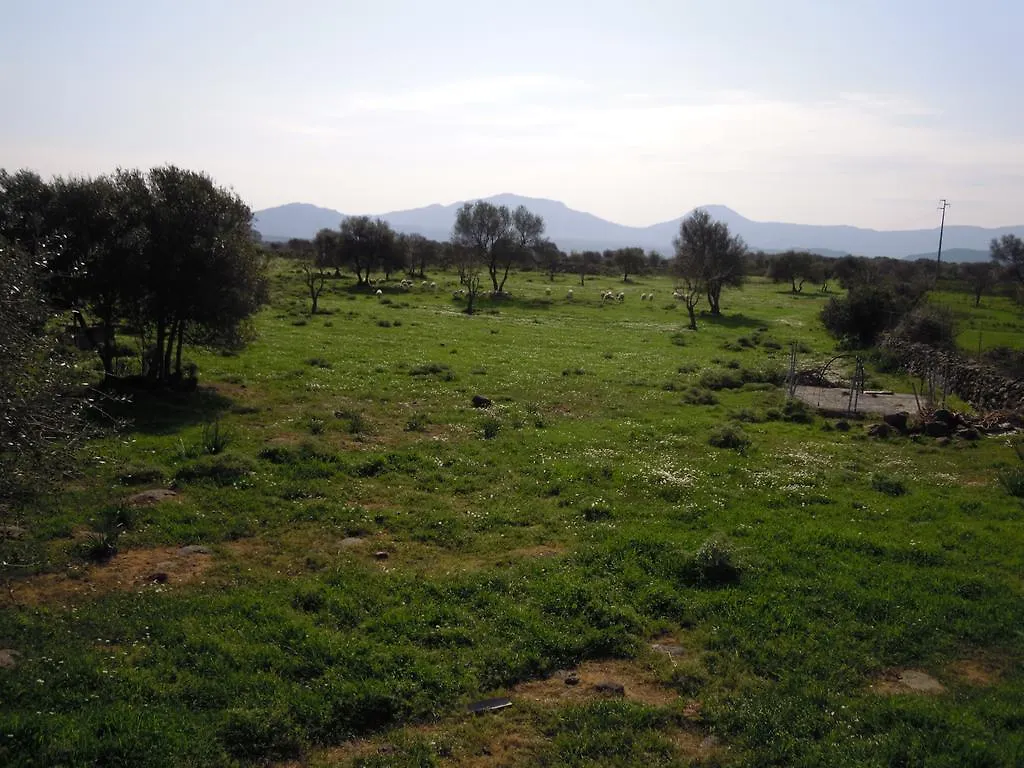 Agriturismo Pira Pinta Dorgali 0*,