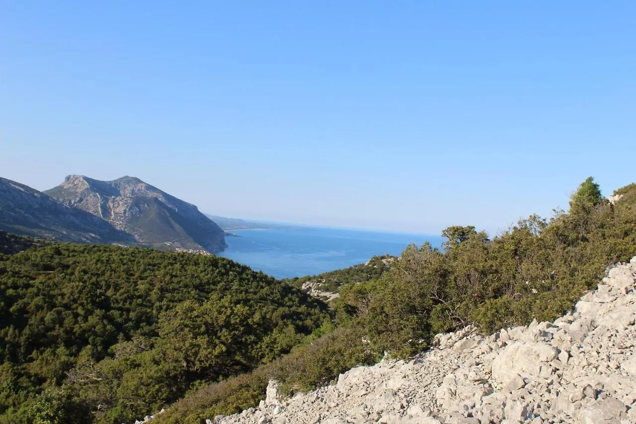 Agriturismo Pira Pinta Dorgali Frühstückspension
